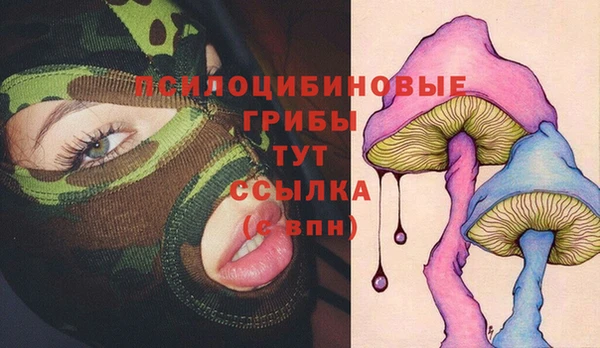 ALPHA PVP Михайловка