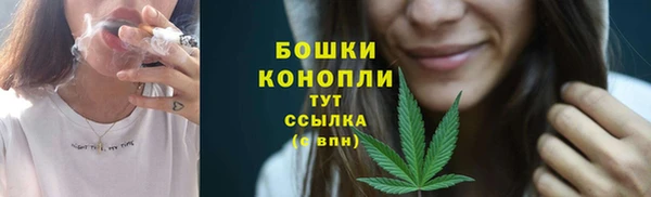 метадон Михайлов