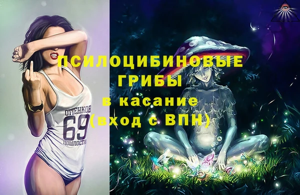 PSILOCYBIN Навашино